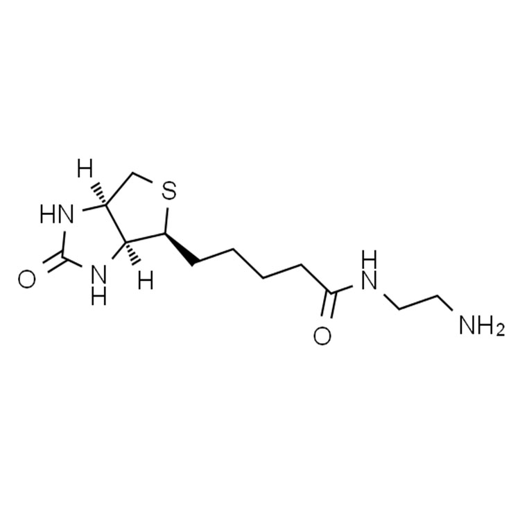 Biotin-NH2，Biotin-amine